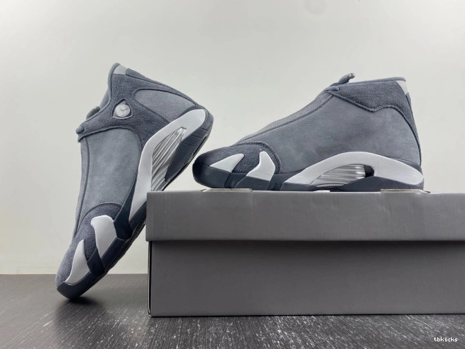 Reps TB Flint 14 Air Grey Jordan FJ3460-012 0715